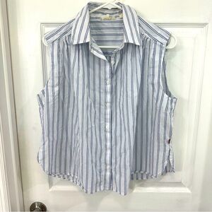 Levi’s Sleeveless Striped Button-Up‎ Shirt